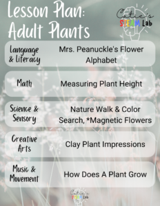 Plant Life Cycle Lesson Plan - adult Plants