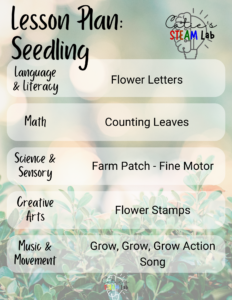 Plant Life Cycle Lesson Plan - seedling