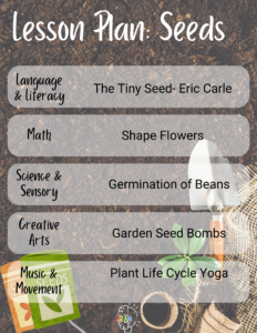 Plant Life Cycle Lesson Plan - seeds