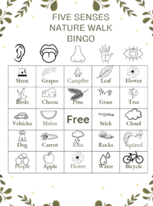 five senses nature walk bingo for my body lesson plan