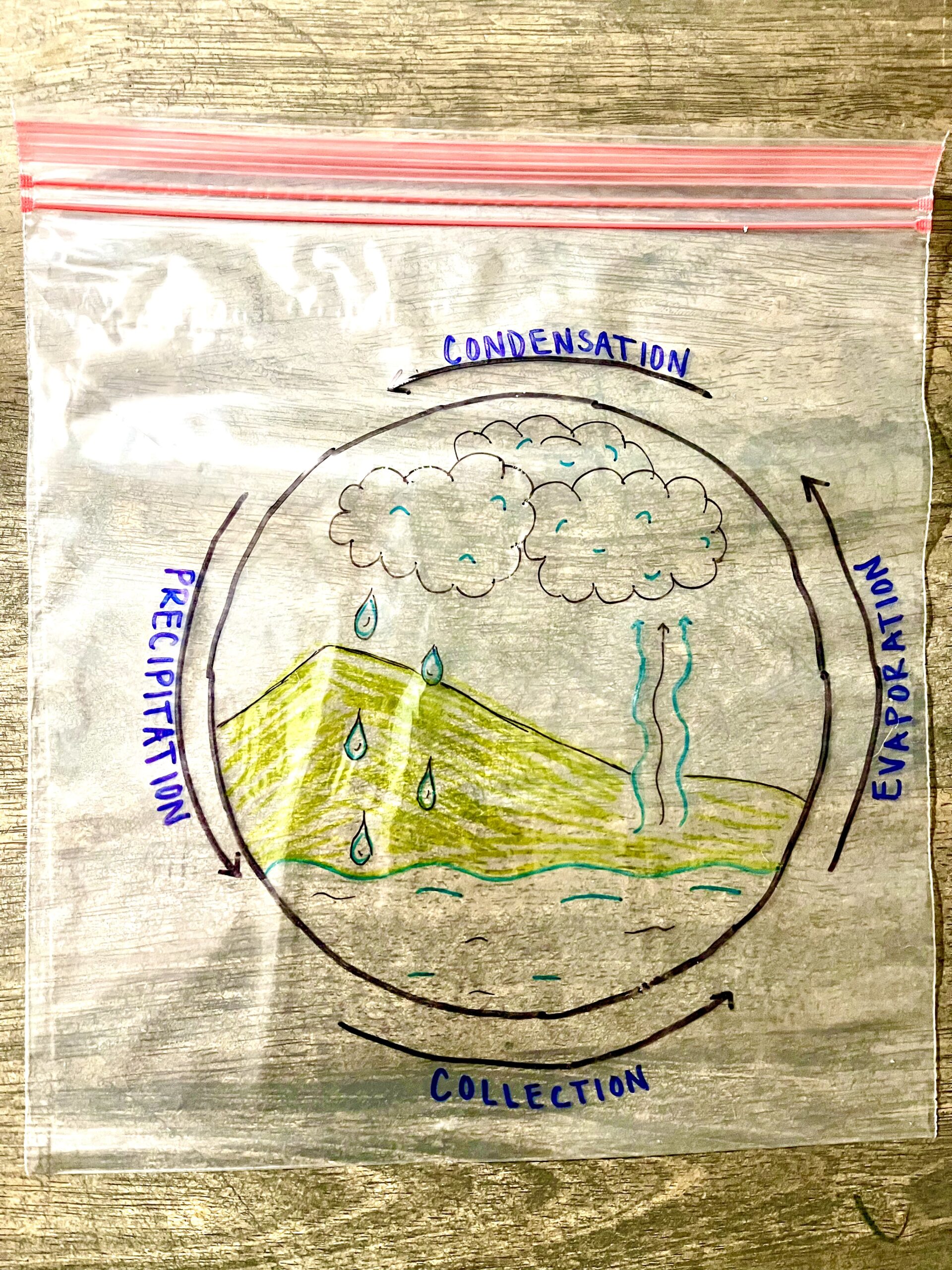water cycle rain in a bag preschool rain lesson plan